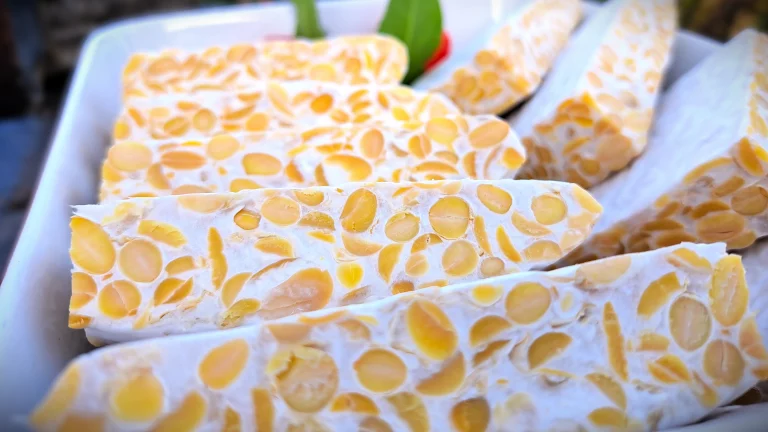 a close up of tempeh