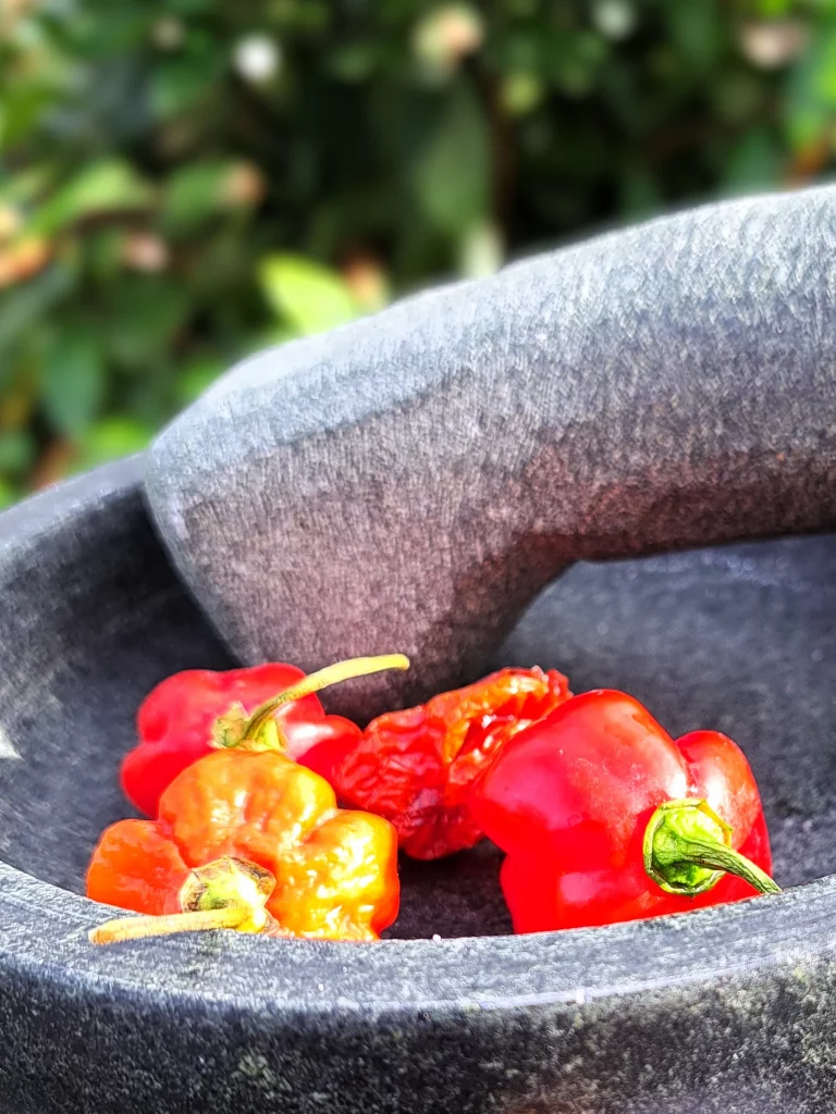 a mortar with red peppers in it
