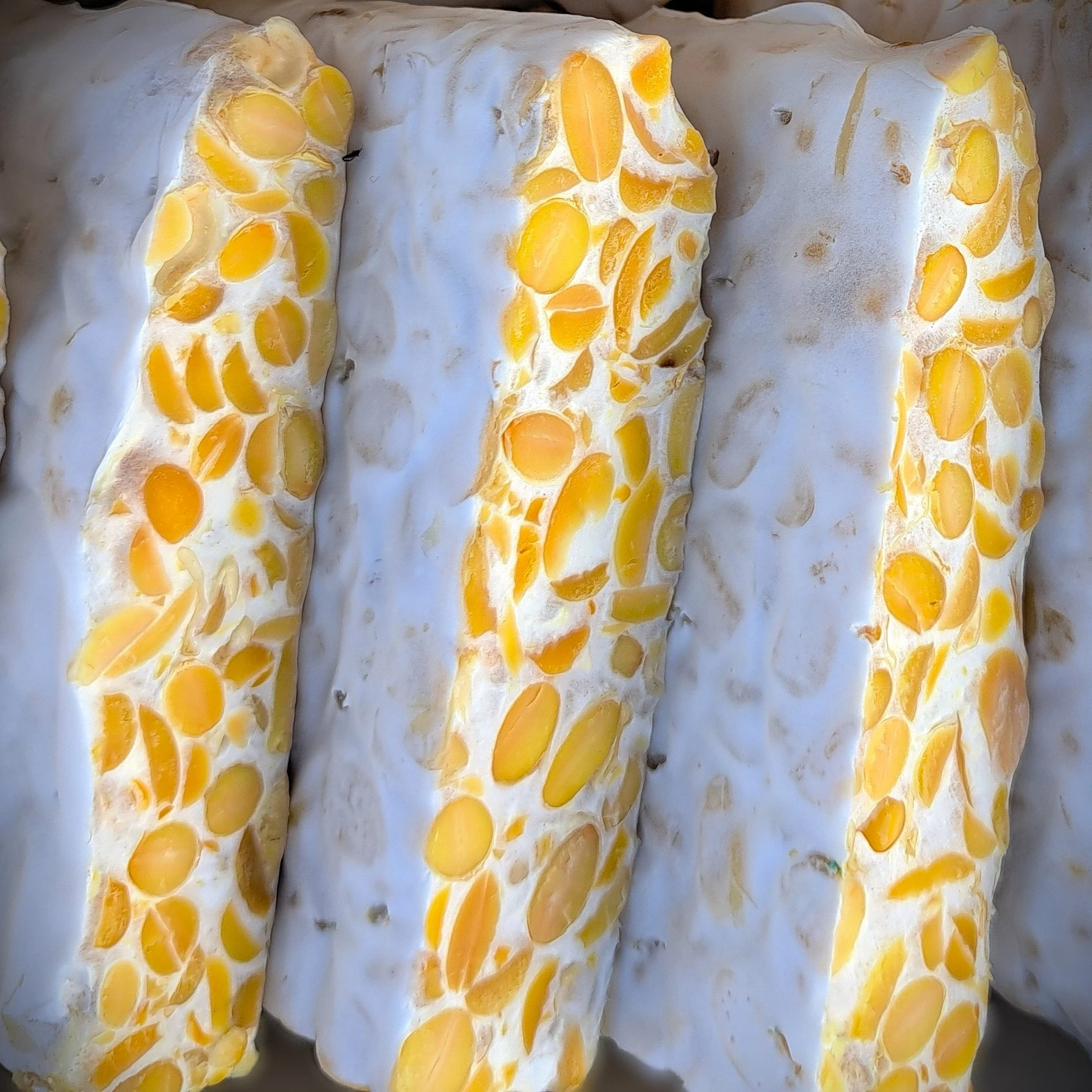 Tempeh selber machen