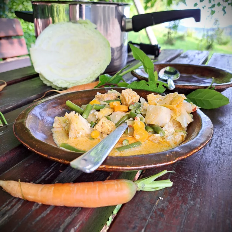 Sajor Lodeh mit Tofu und Tempeh in einem braunen Teller. Karotte im Vordergrund und Weisskabis im Hintergrund.