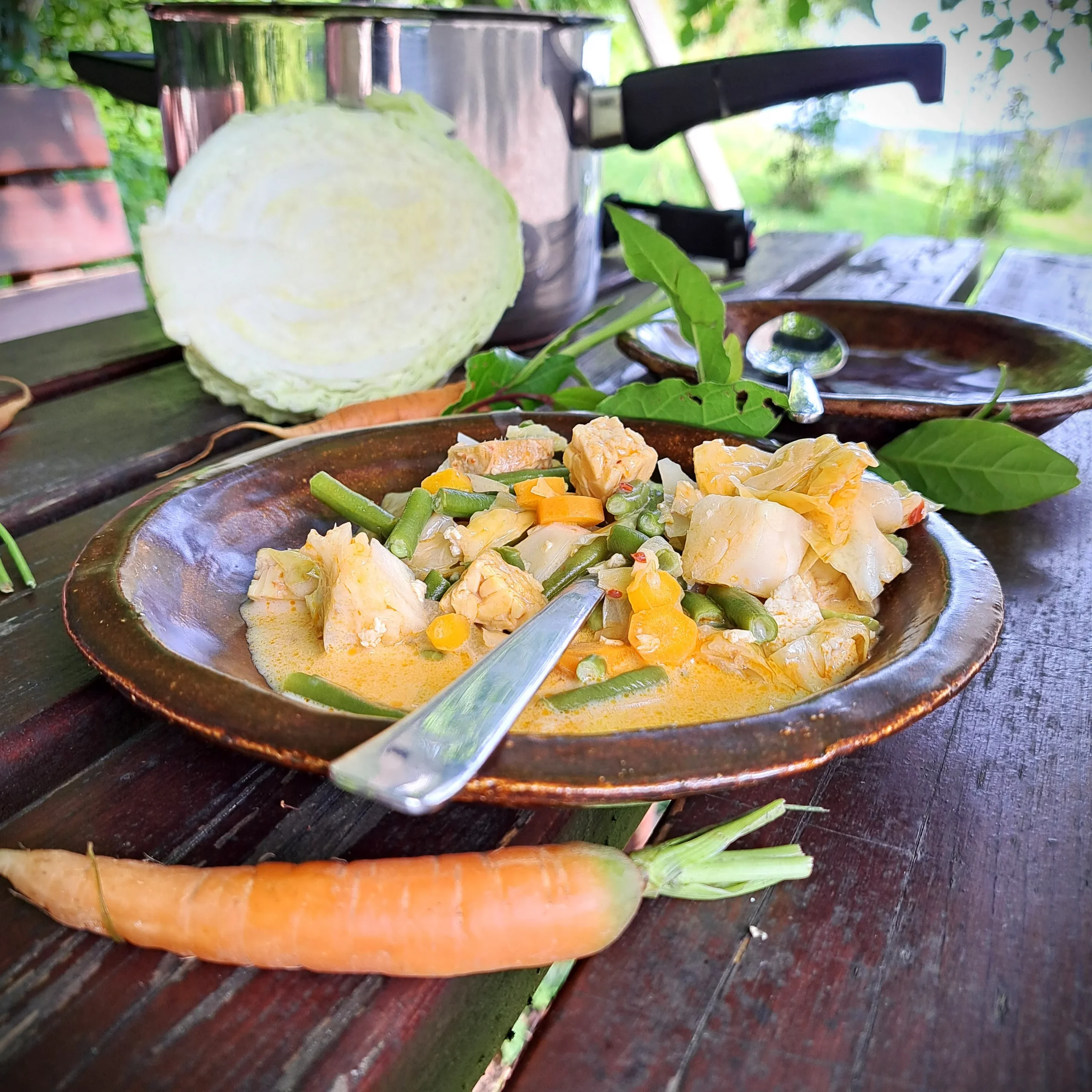 Sajor Lodeh mit Tofu und Tempeh in einem braunen Teller. Karotte im Vordergrund und Weisskabis im Hintergrund.